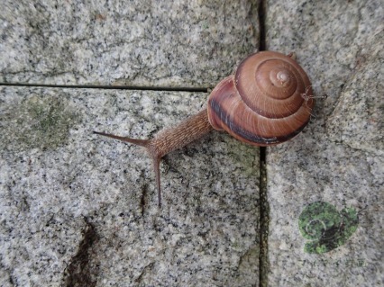 s-写真２.jpg