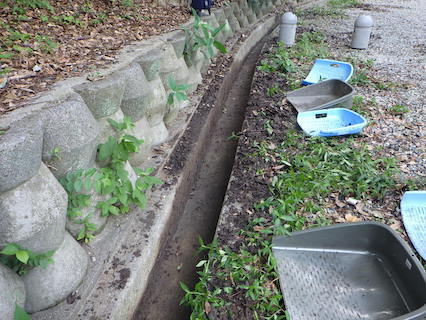 220817-5morinokurabu.JPG