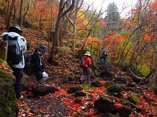 登山（紅葉）.jpg