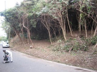 s-IMG_8453.jpg