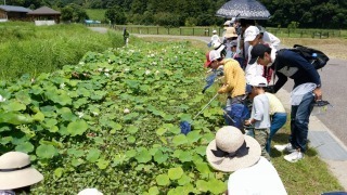 170730_夏の里山観察会_170807_0055.jpg