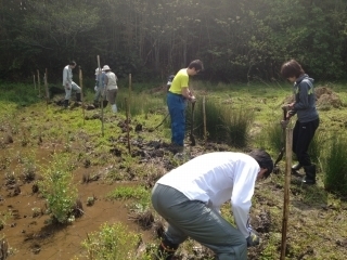 s-20130417あぜ作業.jpg