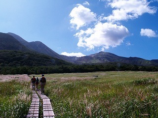 130916タデ原湿原.jpg