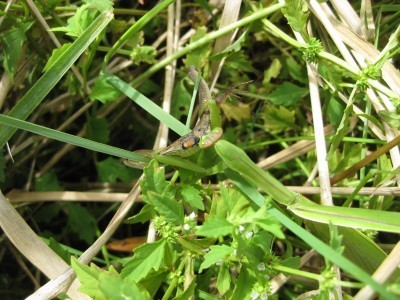s-IMG_8299.jpg