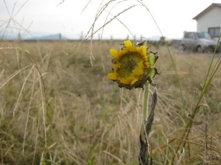 s-IMG_4746.jpg