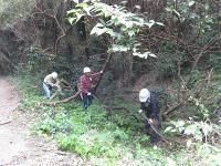 IMG_3668s1.jpg