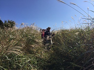 南阿蘇6.jpg