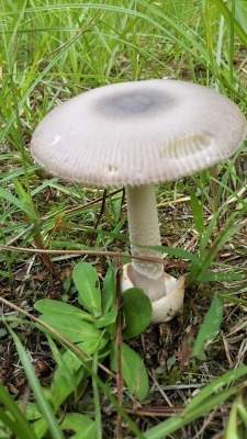 DSC_5224.jpg