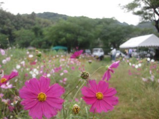 s-IMG_8947.jpg