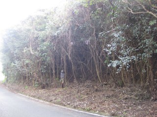 s-IMG_8376.jpg